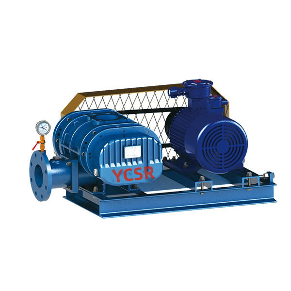 Big Volume Roots Vacuum Pump